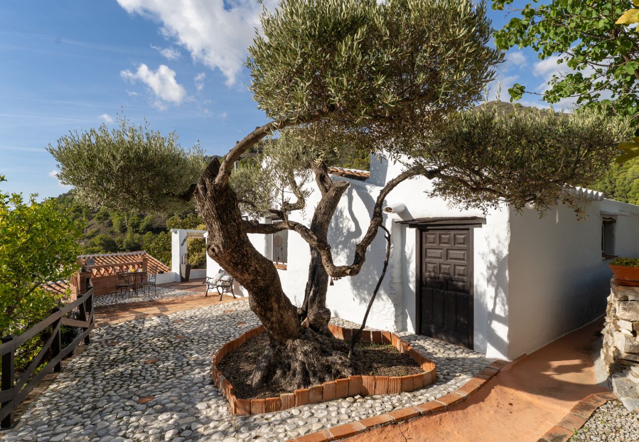Cottage in Frigiliana - Acebuchal 001 