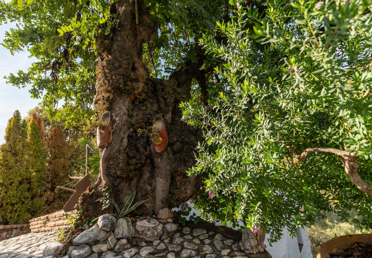 Cottage in Frigiliana - Acebuchal 001 