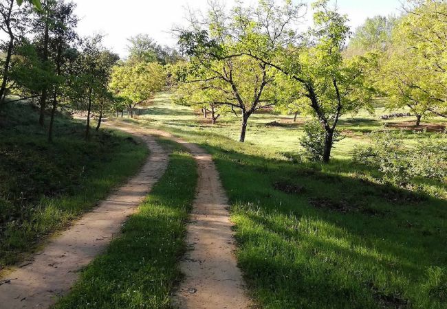 Cottage in Galaroza - Aracena 006 Cottage in Galaroza - Aracena 006