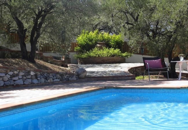 Cottage in Frigiliana - Frigiliana 010 Cottage in Frigiliana - Frigiliana 010