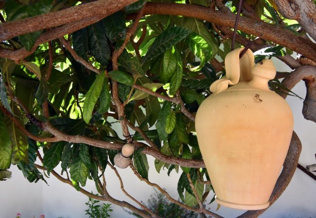 Villa in Frigiliana - Frigiliana 011 Villa in Frigiliana - Frigiliana 011