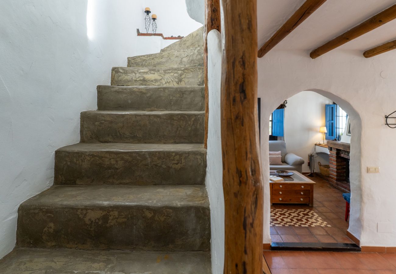 Villa in Frigiliana - Frigiliana 015 