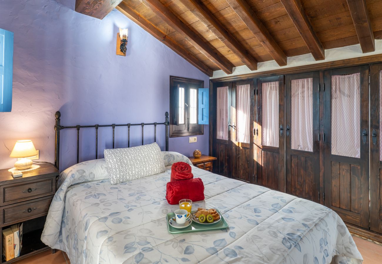 Villa in Frigiliana - Frigiliana 015 