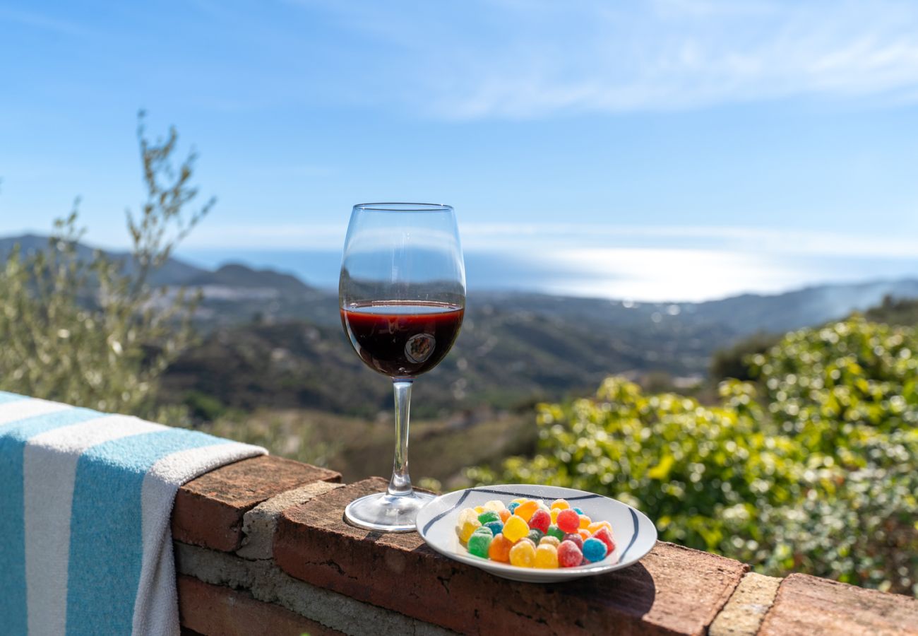 Villa in Frigiliana - Frigiliana 015 