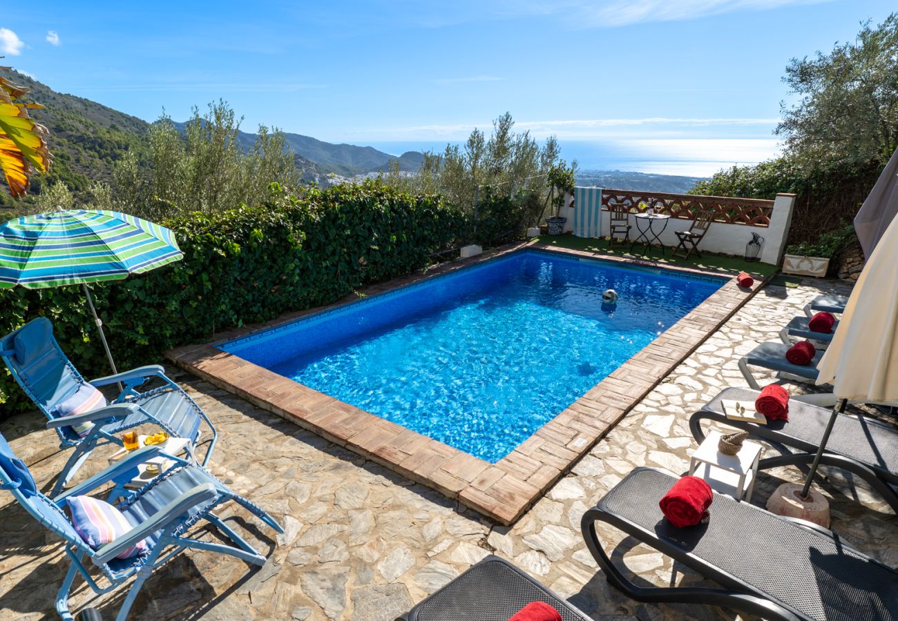 Villa in Frigiliana - Frigiliana 015 