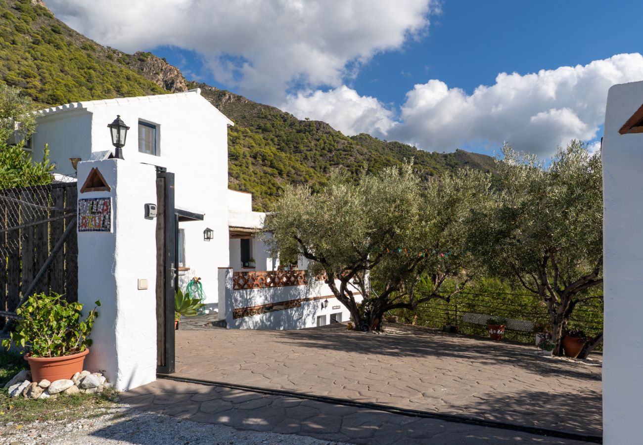 Villa in Frigiliana - Frigiliana 015 