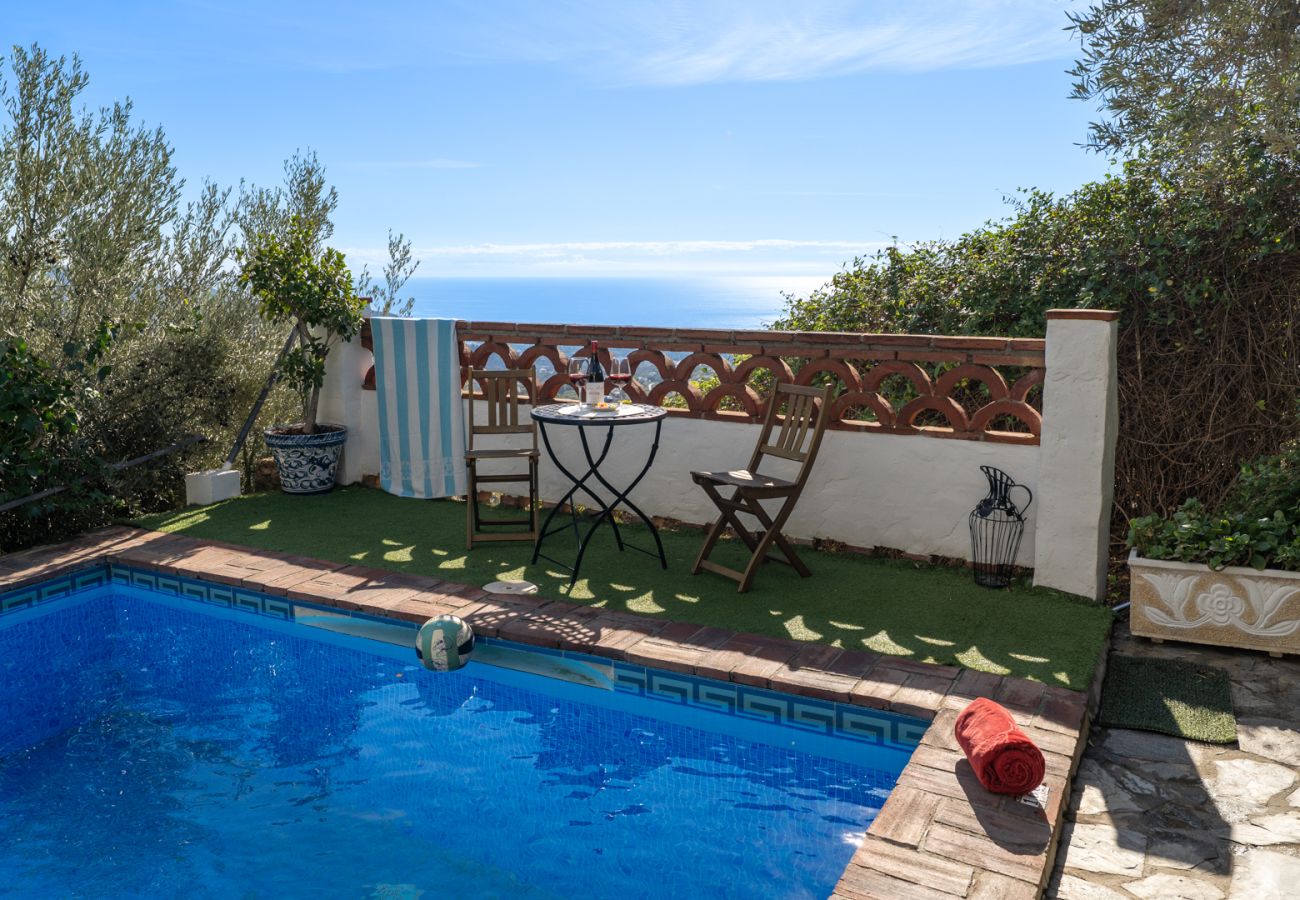 Villa in Frigiliana - Frigiliana 015 