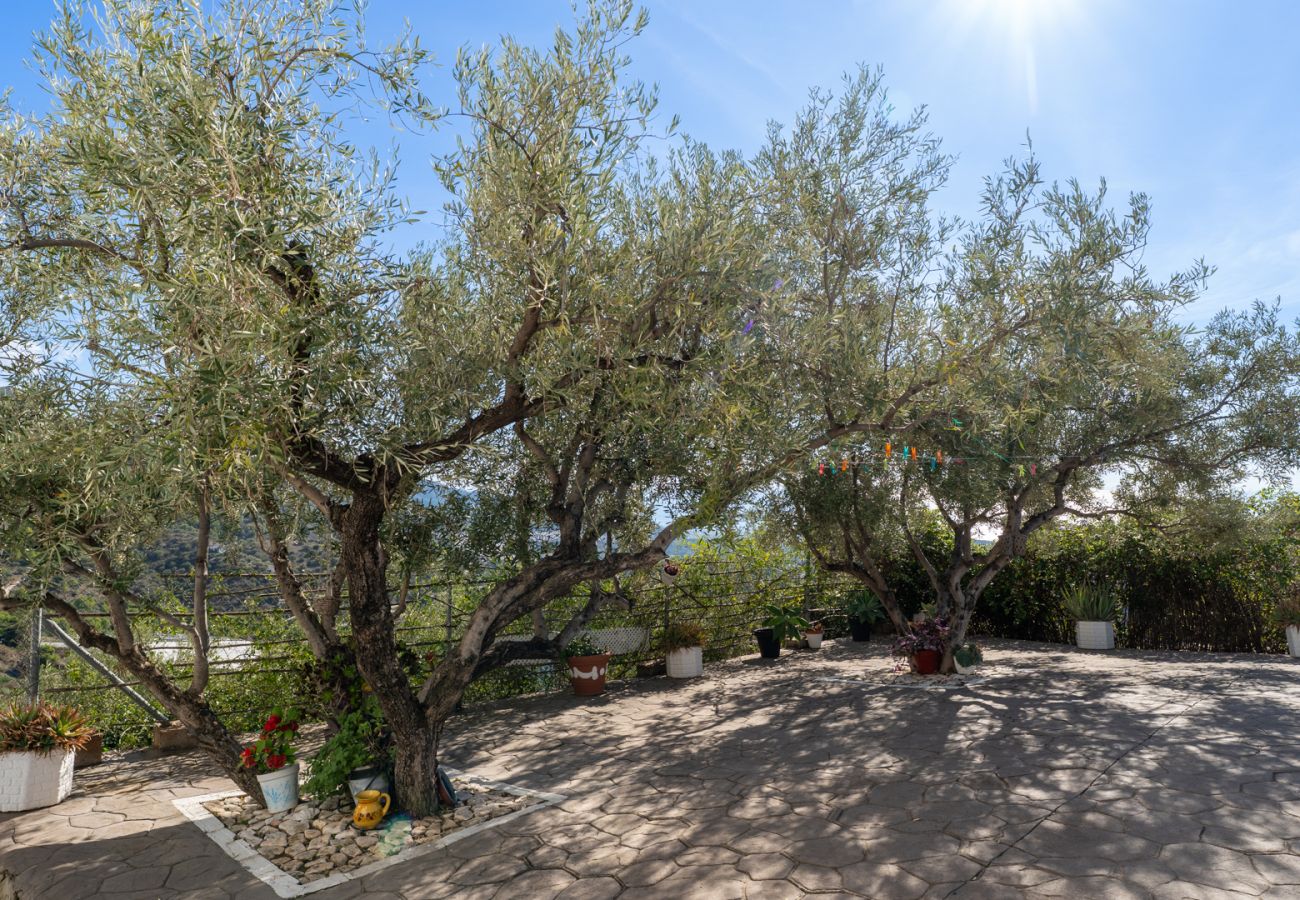 Villa in Frigiliana - Frigiliana 015 