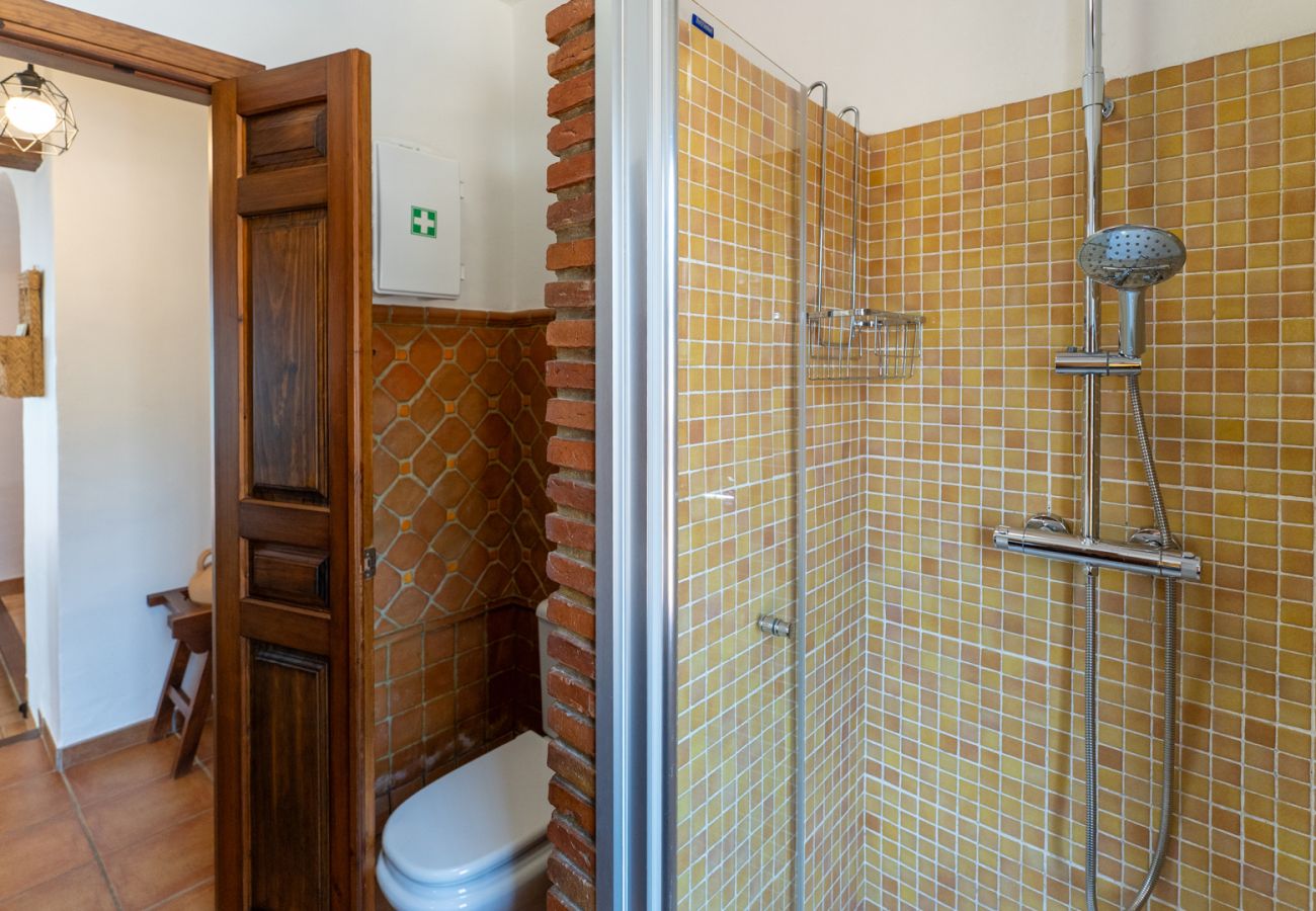 Villa in Frigiliana - Frigiliana 016