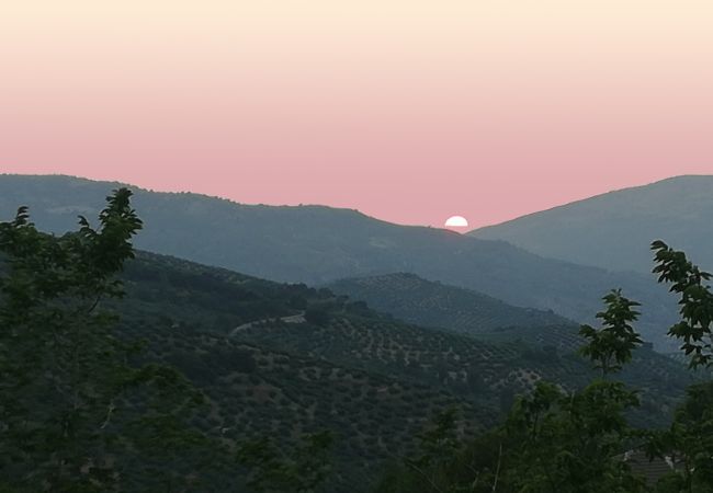 Villa in Los Villares - Jaén 002 Villa in Los Villares - Jaén 002