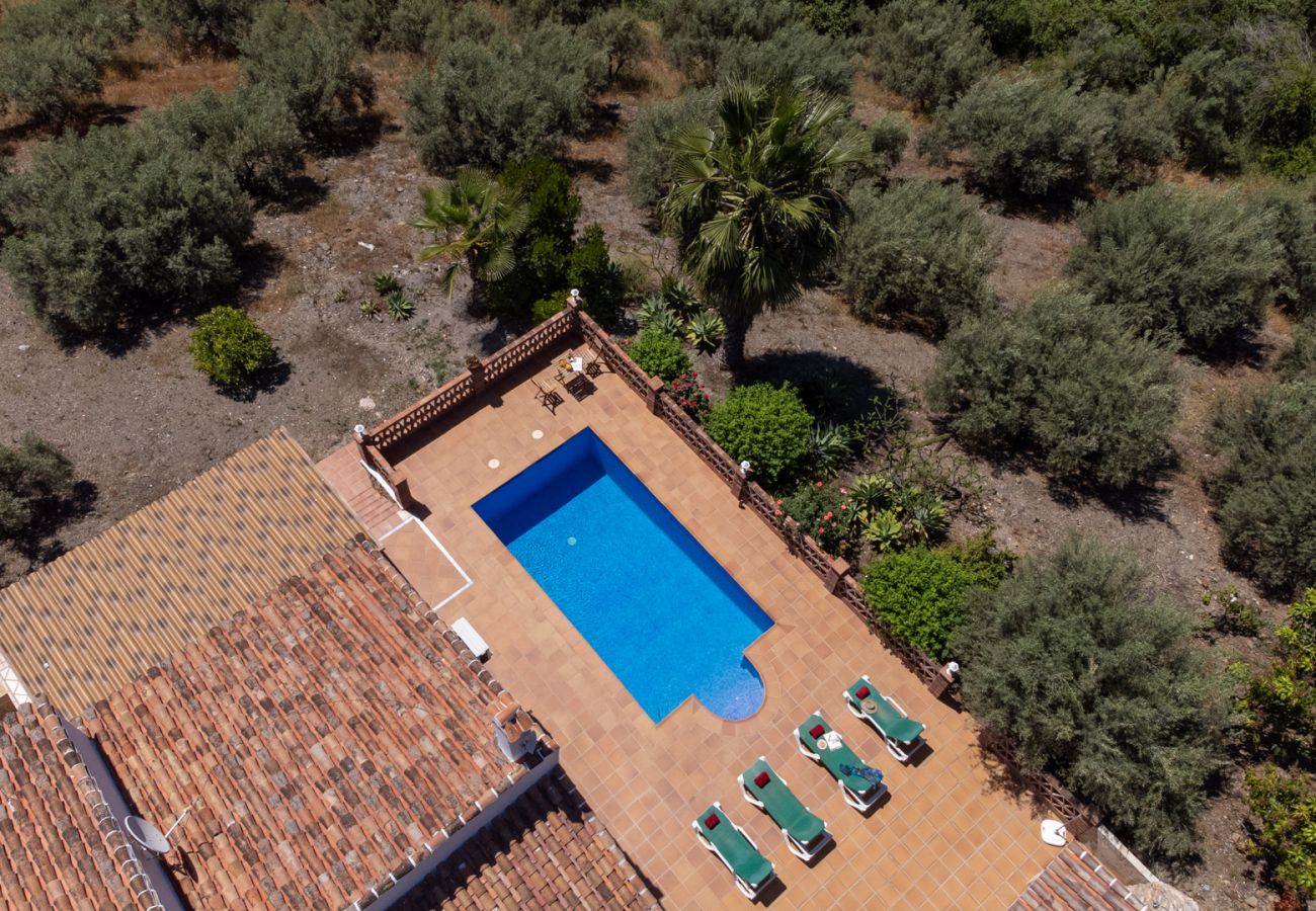 Villa in Frigiliana - Frigiliana 034
