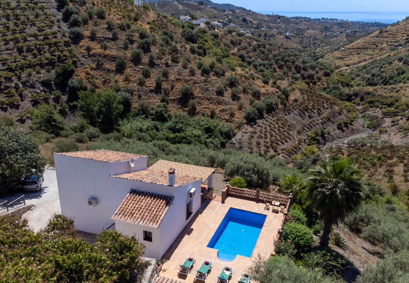 Villa in Frigiliana - Frigiliana 034
