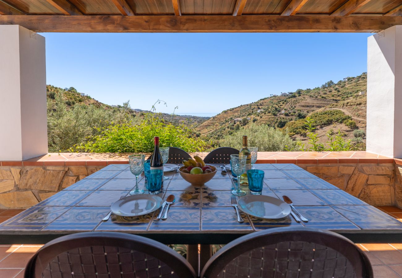 Villa in Frigiliana - Frigiliana 034