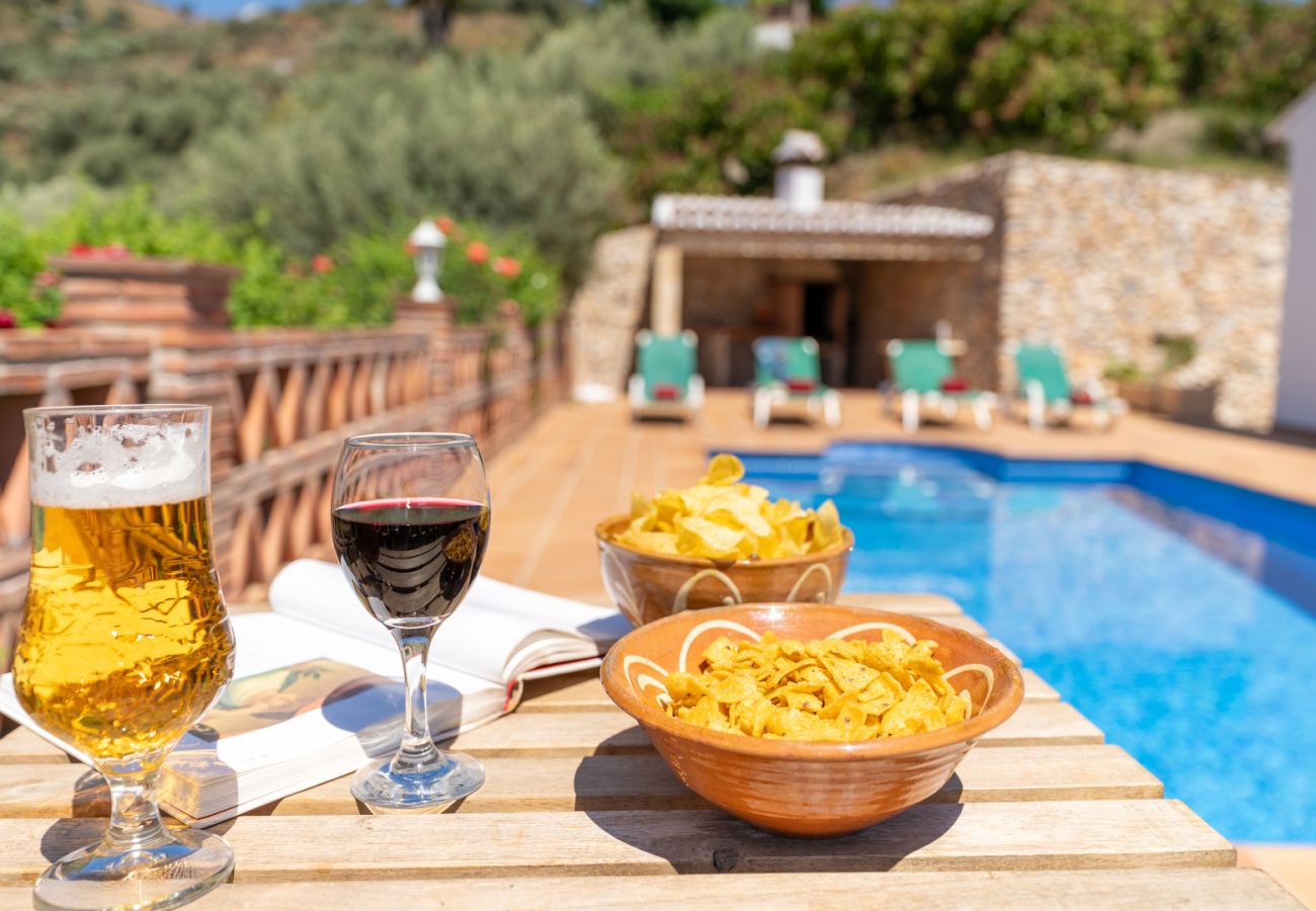Villa in Frigiliana - Frigiliana 034