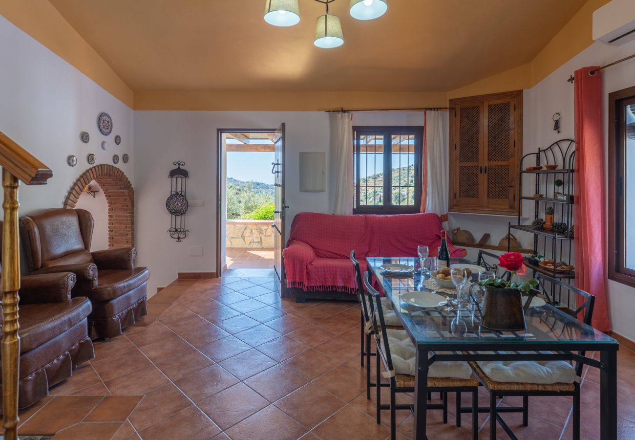 Villa in Frigiliana - Frigiliana 034