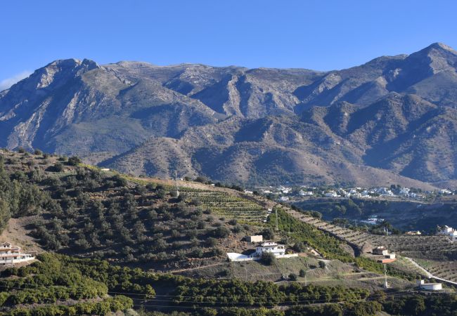 Villa in Nerja - Nerja 014 - Villa José Miguel Villa in Nerja - Nerja 014 - Villa José Miguel