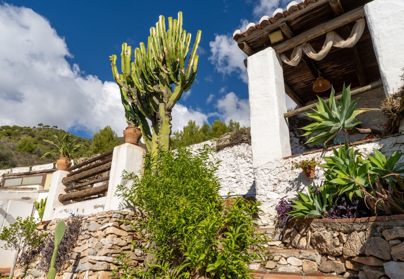 Villa in Frigiliana - Acebuchal 002