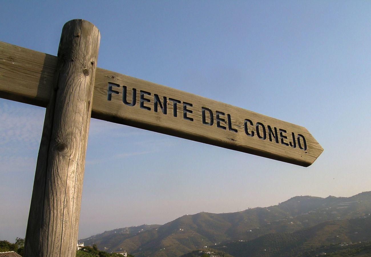 Villa in Frigiliana - Frigiliana 020