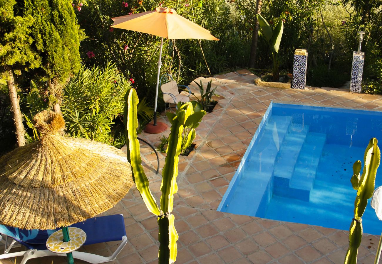 Villa in Frigiliana - Frigiliana 020