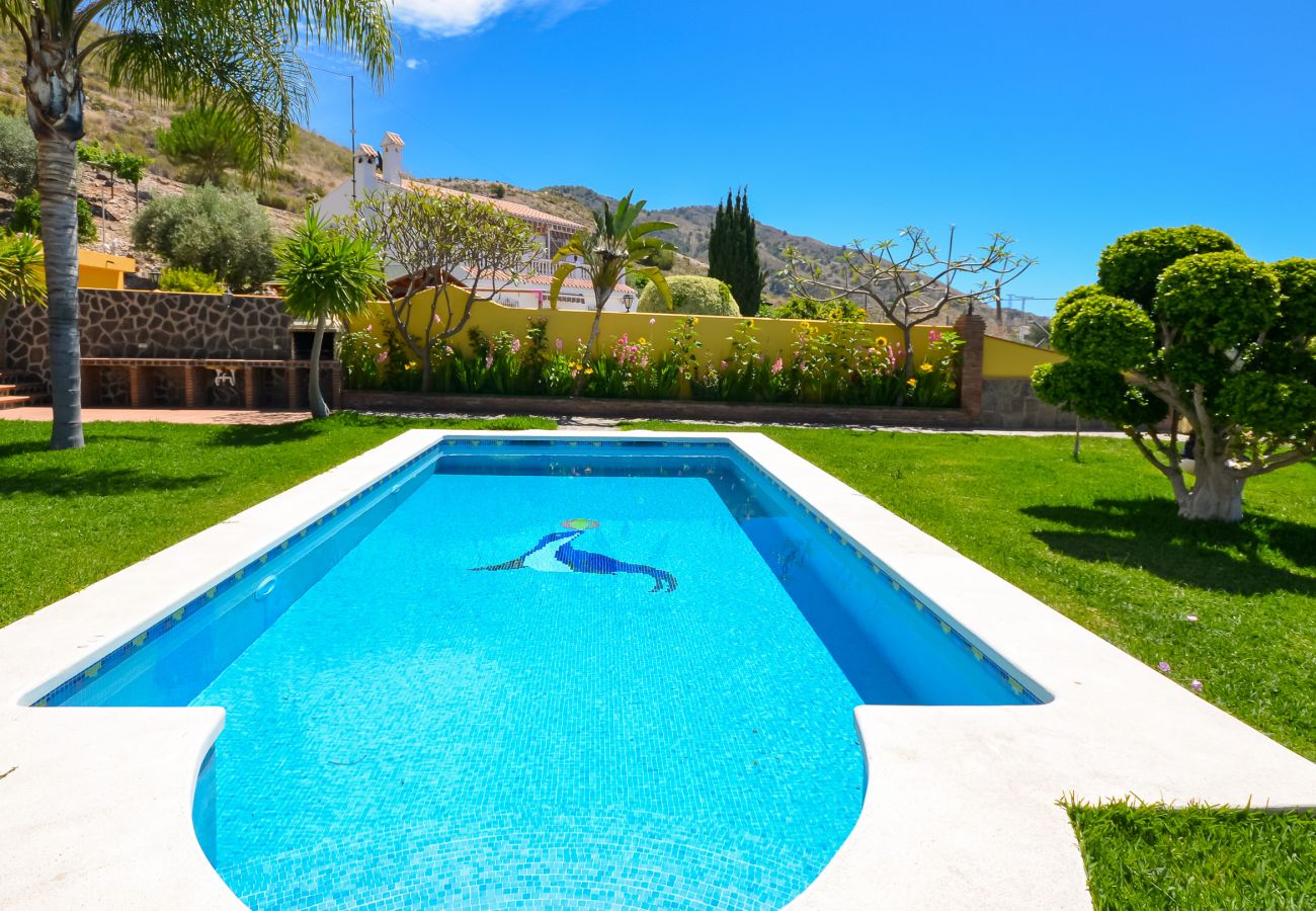 Villa in Nerja - Nerja 022